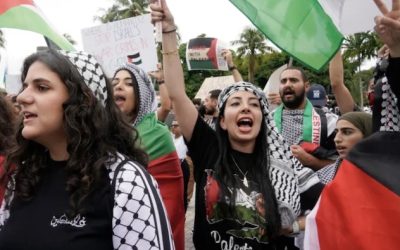 The Palestine solidarity movement