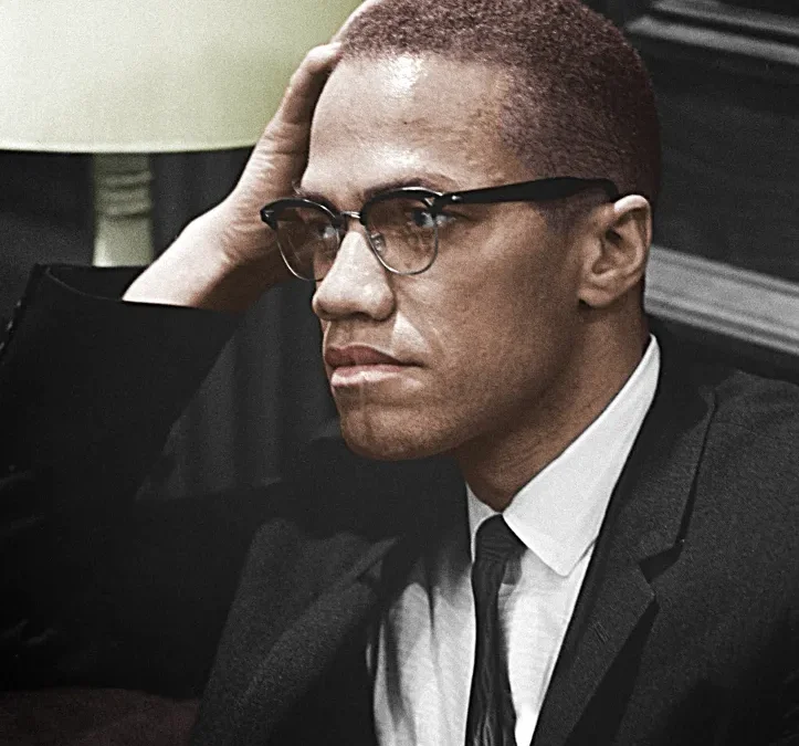 Malcolm X, Black nationalism and socialism